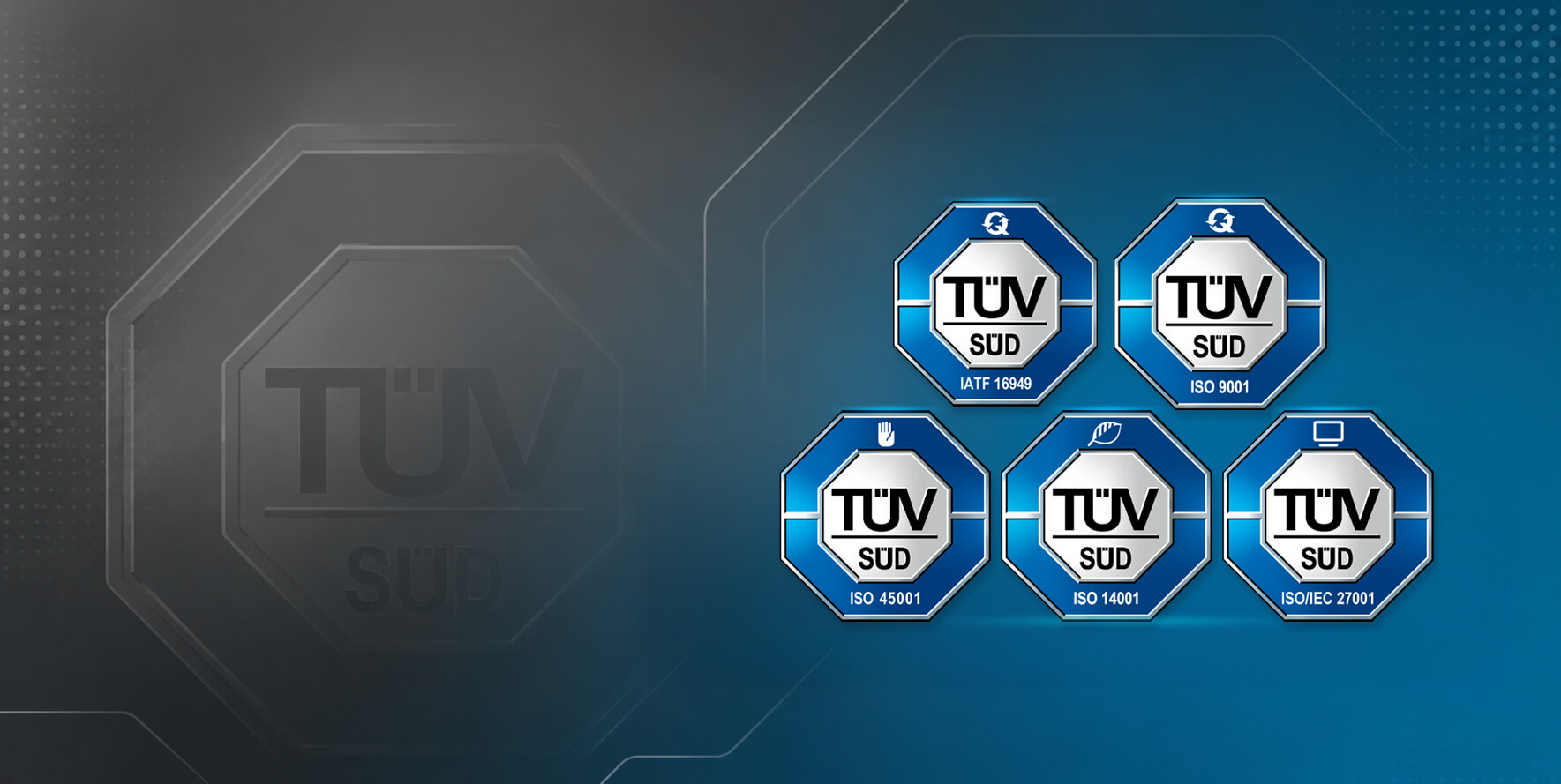 Leader in EV Quality  
